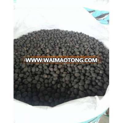 Cambodia high quality Black Lotus seed